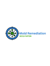 Best Mold Remediation Boca Raton